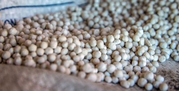 OSTCHEM знизив ціну на вапняково-аміачну селітру