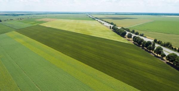 В Україні запрацював новий сервіс оренди землі через застосунок моЄ