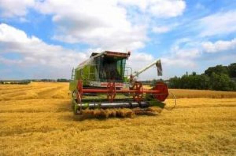 Фермерським господарствам заплановано виділити 25,6 млн грн кредитів