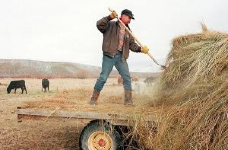 Право на створення фермерського господарство матимуть усі громадяни України
