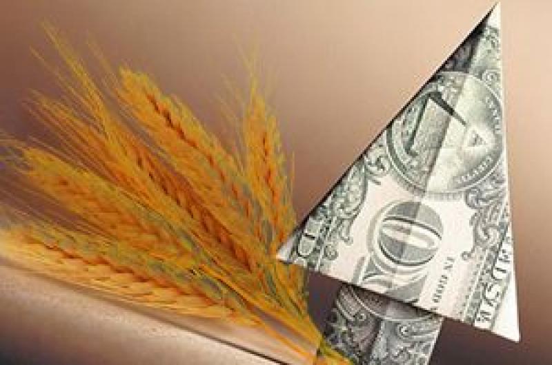 Старі запаси пшениці знижуватимуть ціну на новий урожай