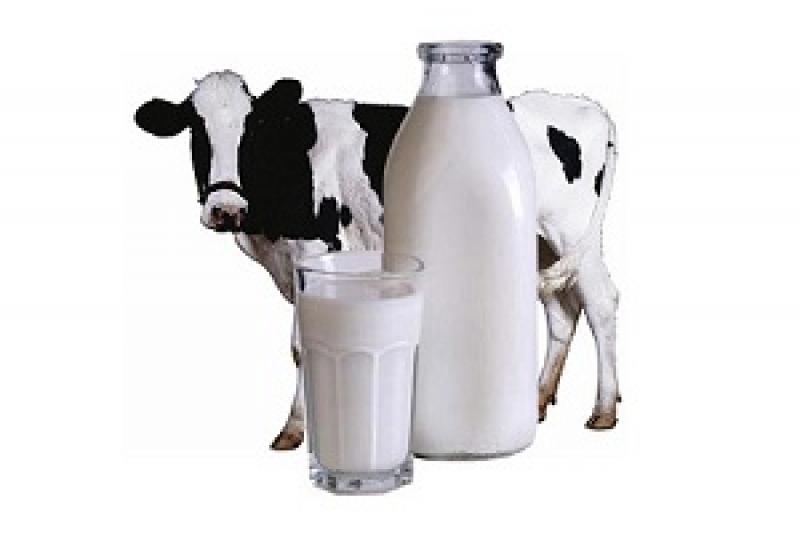 В Україні за 5 місяців вироблено понад 4 млн т молока