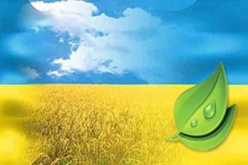 Україна може забеспечити себе органічною продукцією —Гадзало