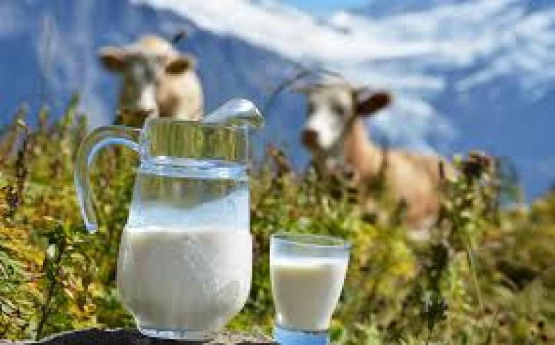 Луганщина планує поставляти молоко на ринки ЄС