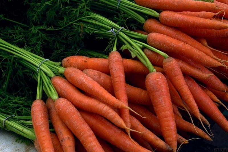 Ціни на моркву не впадуть до вересня
