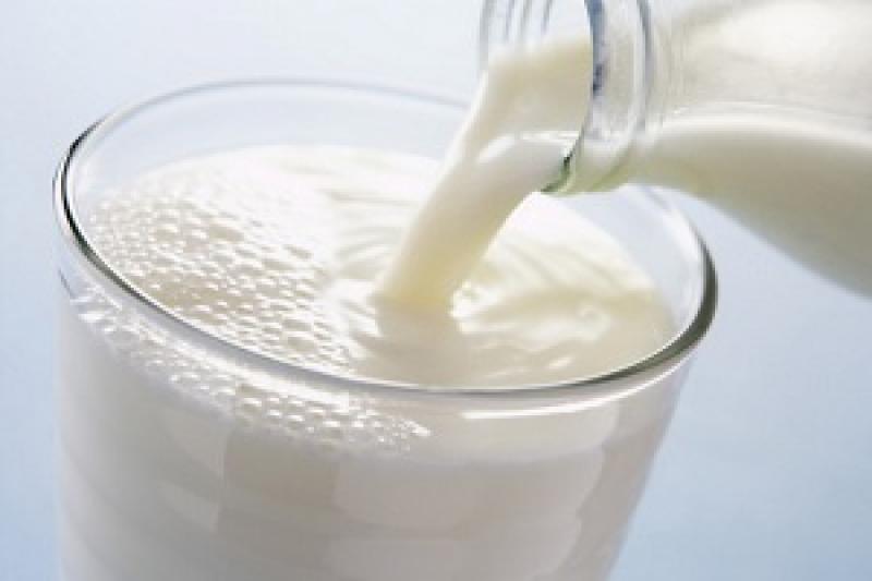 Дохід від реалізації молока не повинен враховуватись у субсидію — Лапа