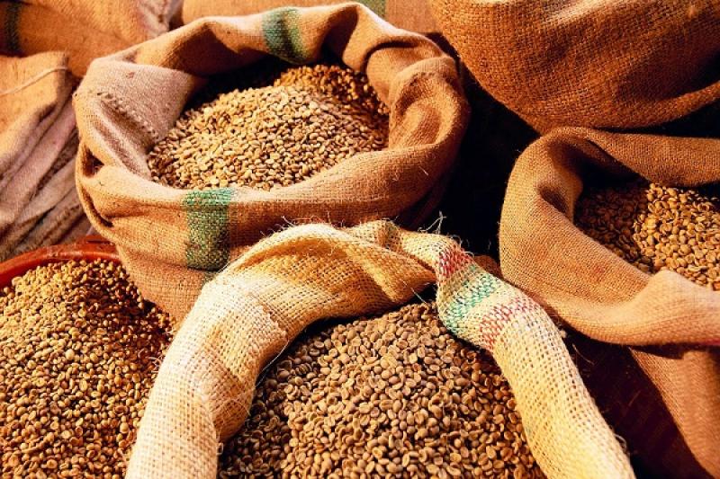 В Донецькій області зберуть 1,4 млн т зерна