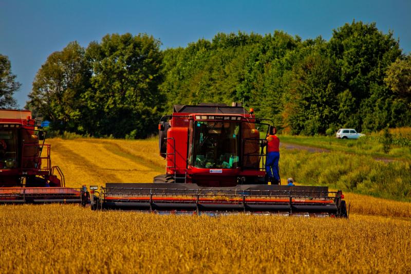В Україні намолотили 2 млн т зерна