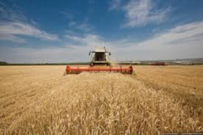 Через брак сільгосптехніки аграрії втрачають 6 млн т зернових