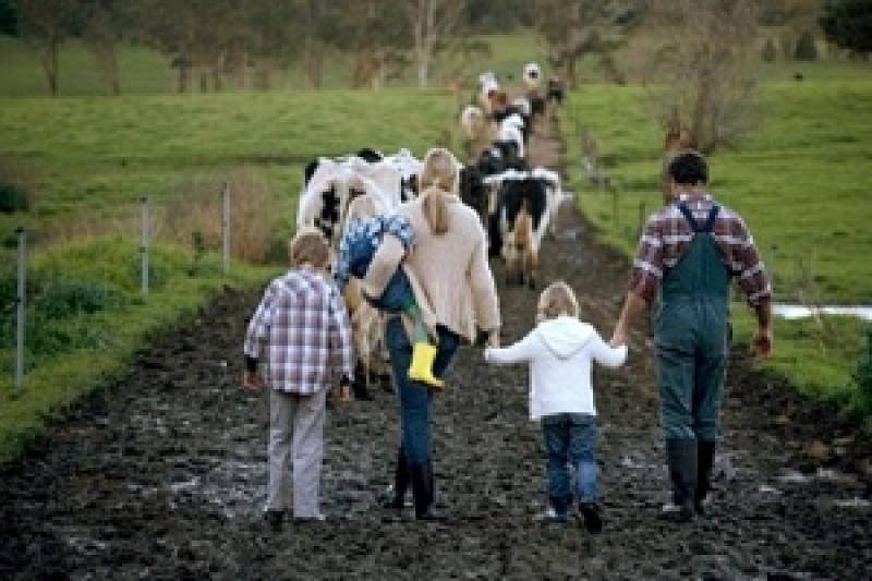 На Херсонщині відкрили сучасні сімейні ферми