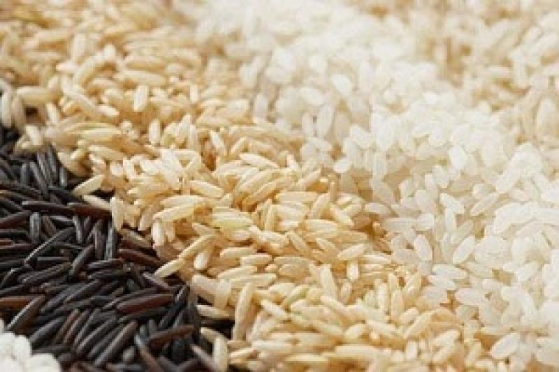 Україна може вирощувати до 60 тис. т рису — Лапа