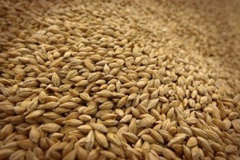 В Україні споживатимуть на 5% менше зерна
