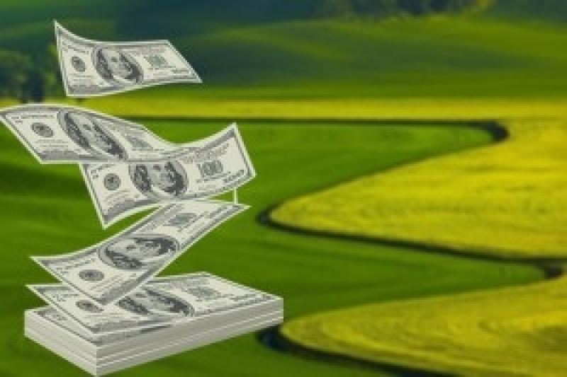 Інвестиції в АПК підвищили урожайність — експерт