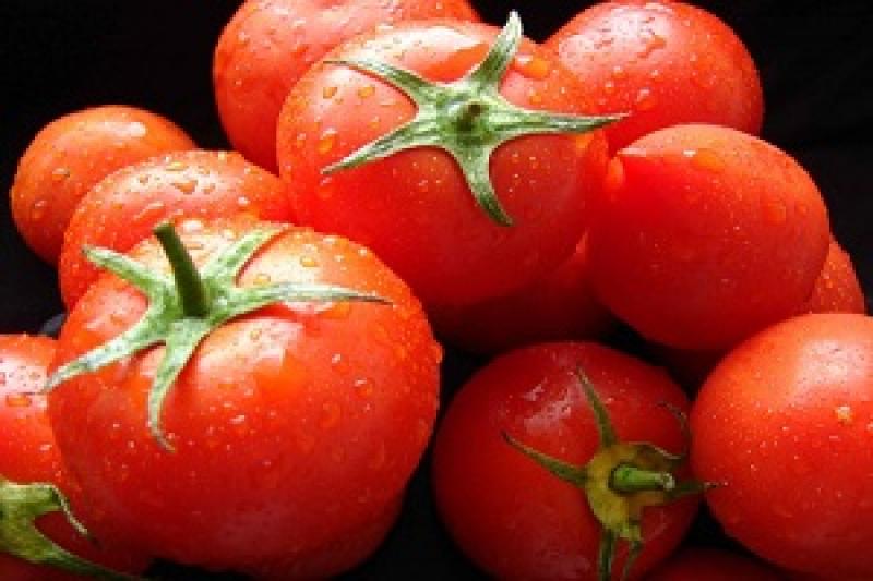 В Іспанії відбудеться сімдесята Битва томатів