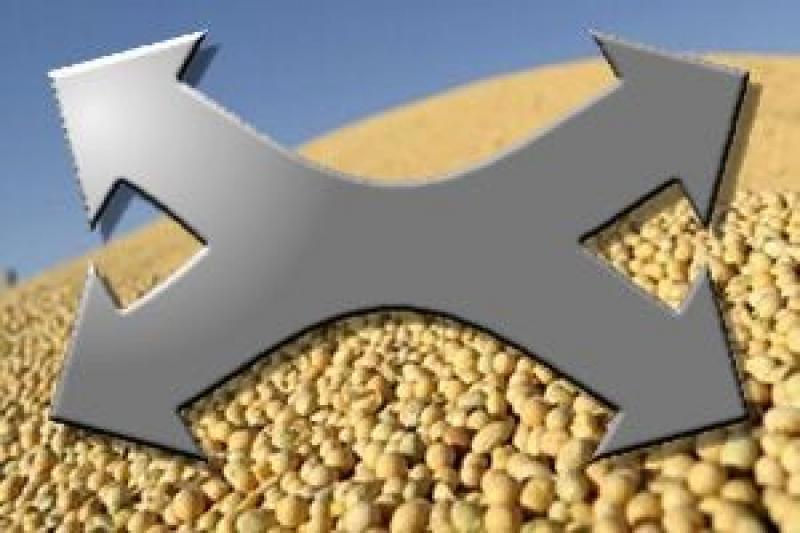 Виробництво ГМО тепер потребує реєстрації