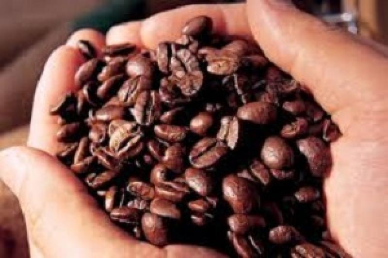 У Бразилії запаси кави мінімізувалися