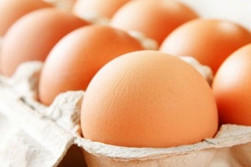 Виробництво яєць скоротилося на 10,6%