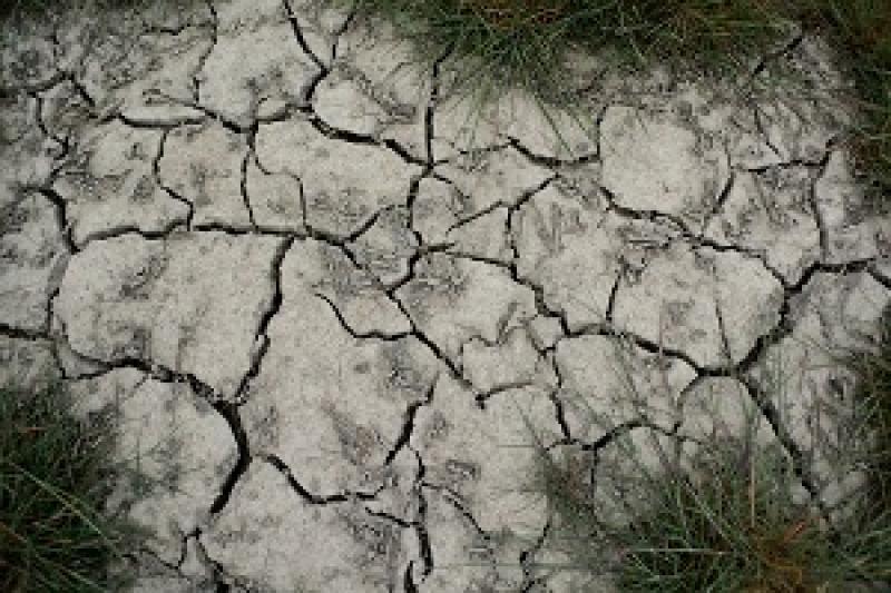 В Україні спостерігається ґрунтова засуха — Укргідрометцентр