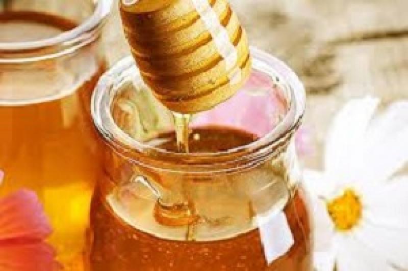 Львівщина лідирує у виробництві меду