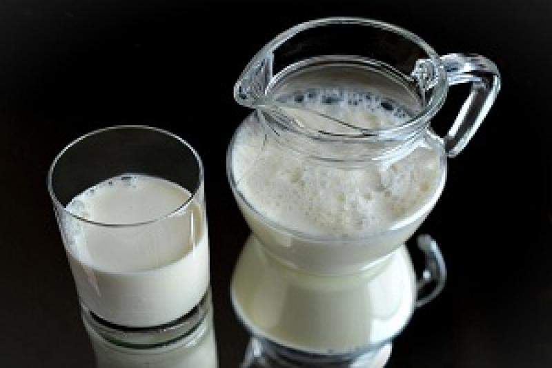Виробництво молока впало на 5%