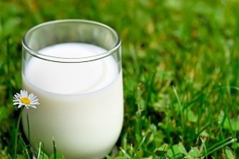 Рівненському молоку бракує якості