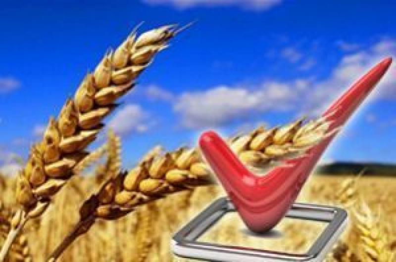 Пшениці буде достатньо для внутрішніх потреб