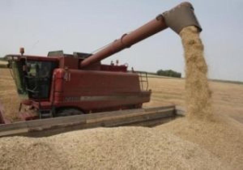 Ціни на пшеницю продовжують рости