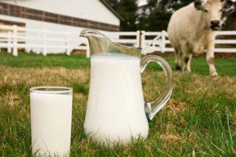 В Україні 80% молока з ферм має низьку якість
