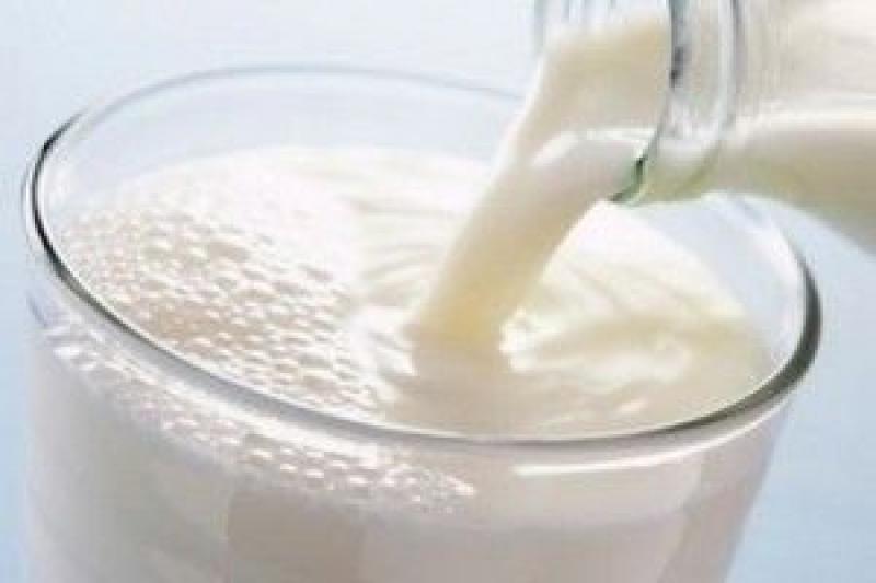 Виробництво молока впало на 12%