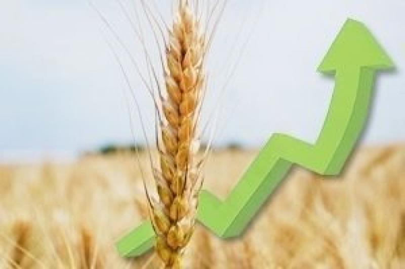 Ціни на аграрну продукцію зросли на 54%