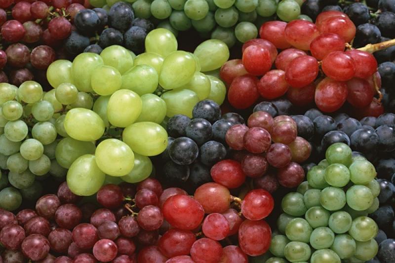 Урожай винограду знизився майже на 20%