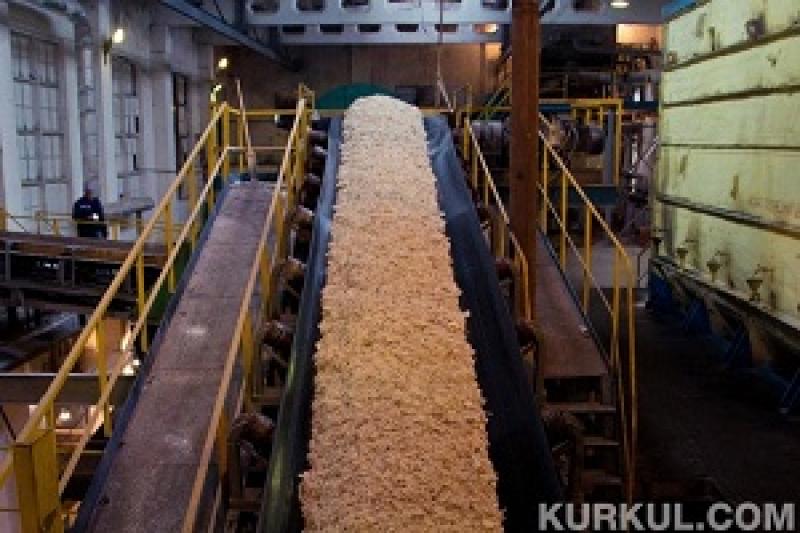 На Харківщині виробництво цукру зменшилося на 43 тис. т