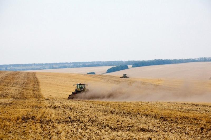 США реалізує в Україні новий проект підтримки агросектору