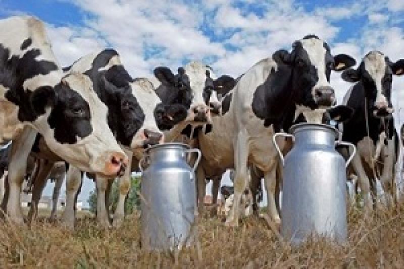 Ціни на молоко сягнули нових рекордних позначок