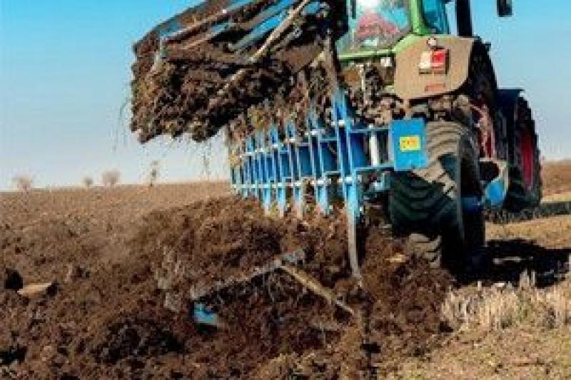 Україна наростить урожайність зернових на 55% до 2020 р?