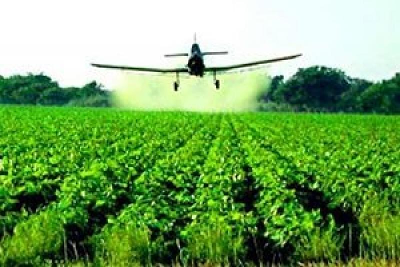 Державна реєстрація пестицидів має бути розблокована максимально швидко