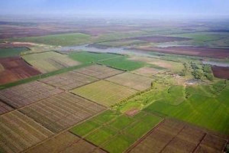 Вінницькому фермеру незаконно передали 139 га земель