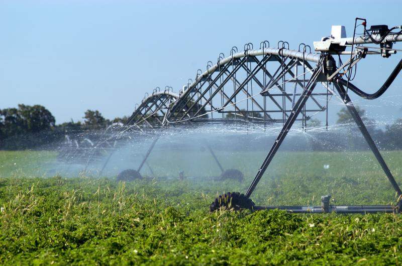 Відновлення систем зрошування на півдні України дозволить стабільно отримувати високі врожаї
