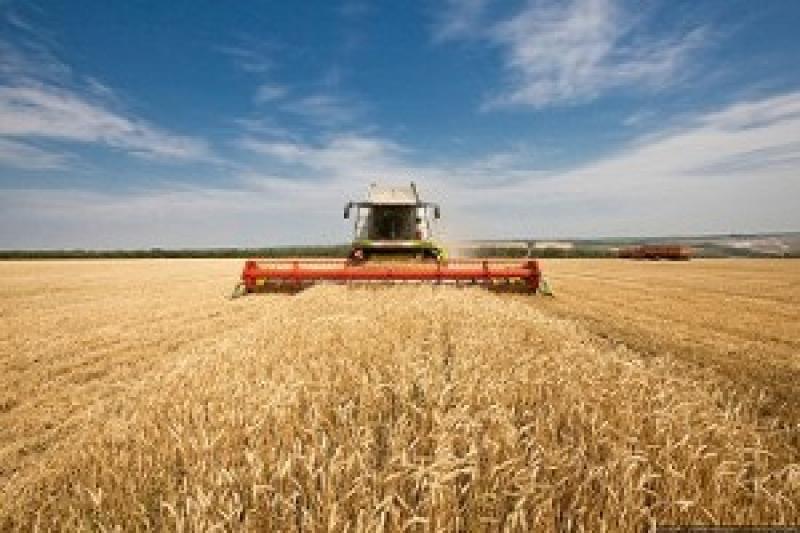 Через брак нової техніки Україна щорічно не дораховується більше 6 млн т зерна