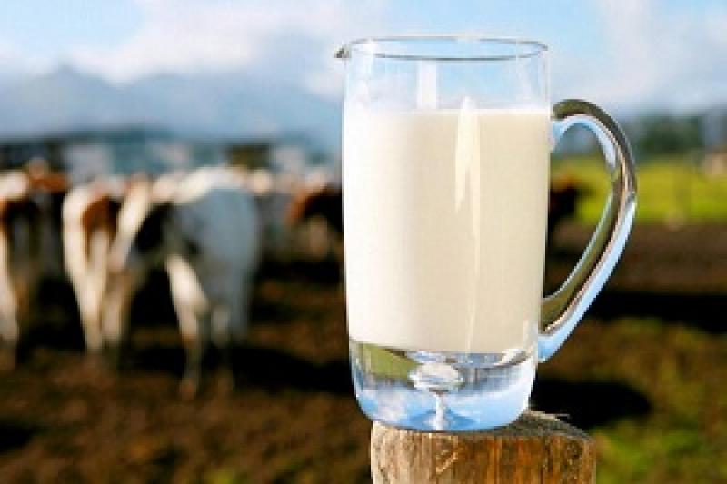 Виробництво молока у 2015 р. скоротилося на 4%
