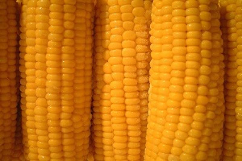 Ціни попиту/пропозиції на кукурудзу лише спостерігаються лише у гривневому еквіваленті 