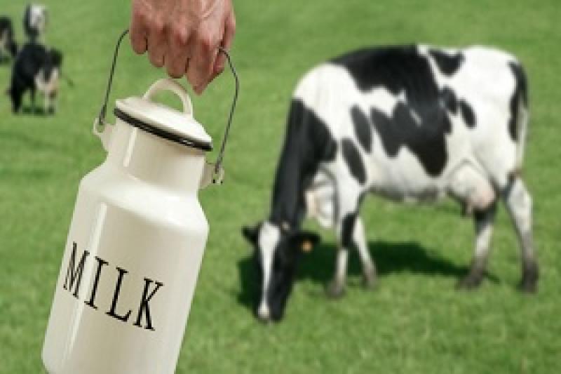 Днями знову спливла споконвічна тема мінімальних закупівельних цін на молоко