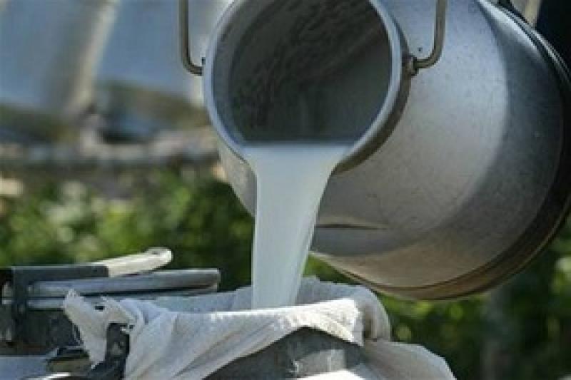 Мінімальні ціни на молоко не потрібно встановлювати