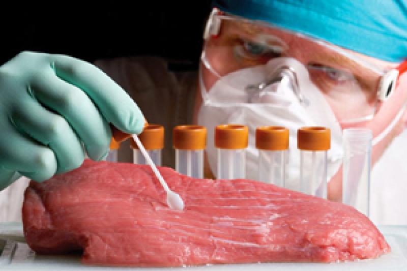 Вирощене у лабораторії м'ясо з'явиться на ринку вже у найближчі роки
