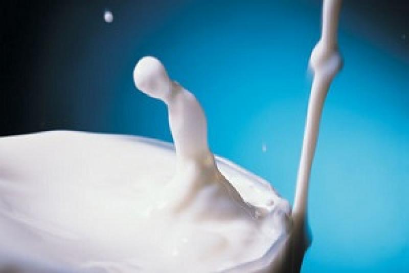 Що принесе фермерам закон про мінімальні ціни на молоко?