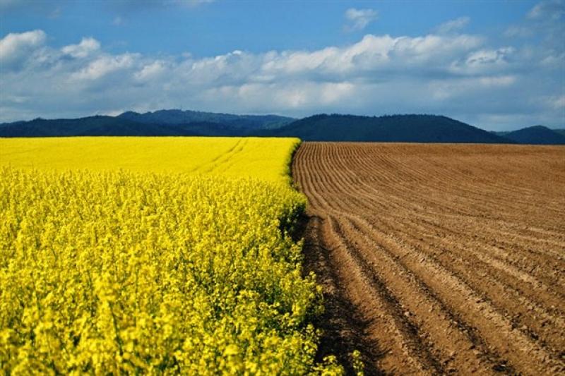 Наразі ціни на землю в Україні значно менші за європейські