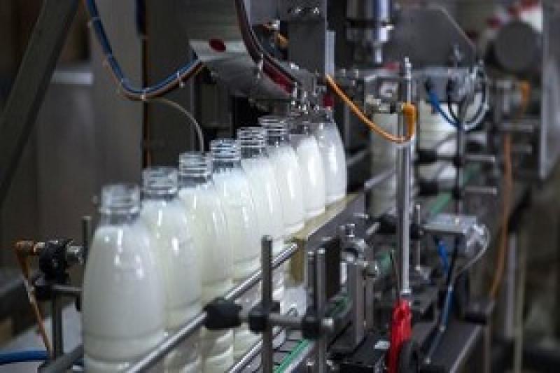Українським професійним виробникам молока час починати самостійно займатися переробкою?