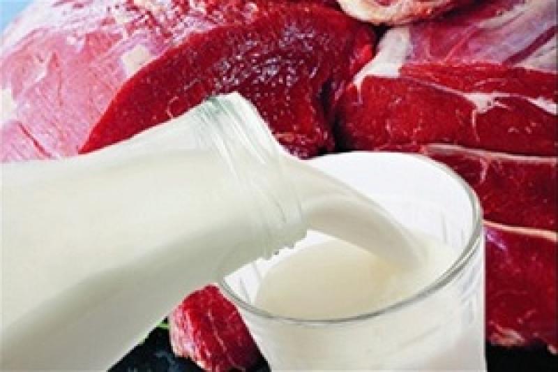Молоко та м'ясо подорожчають через здорожчання сировини і курс валют