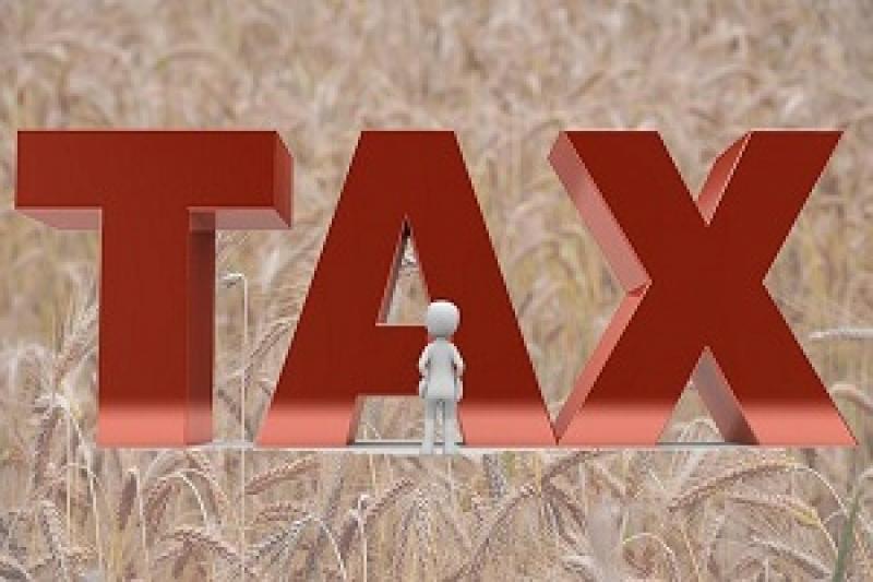 Законопроект про повернення системи оподаткування аграрного виробництва «завис» між аграрним та податковим комітетами Верховної Ради