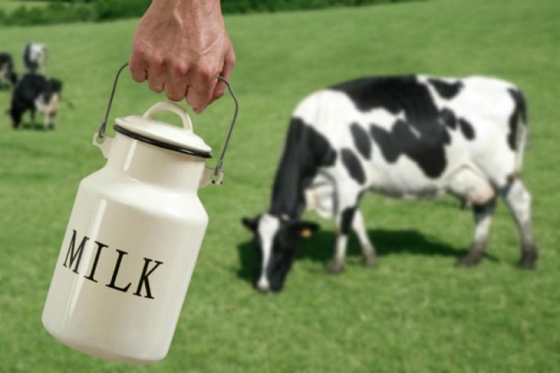 Скасування «спецрежиму» для виробників молочної галузі серйозно ускладнить їм життя